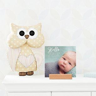 Hello Baby Birth Stats Chic Newborn Photo Holder