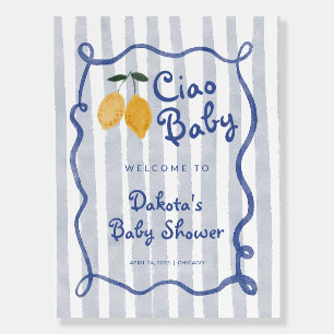 Hello Baby Lemon Boys Baby Shower Welcome Foam Board