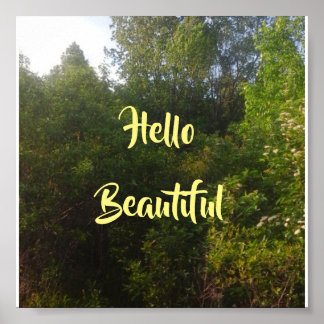 Hello Beautiful Poster