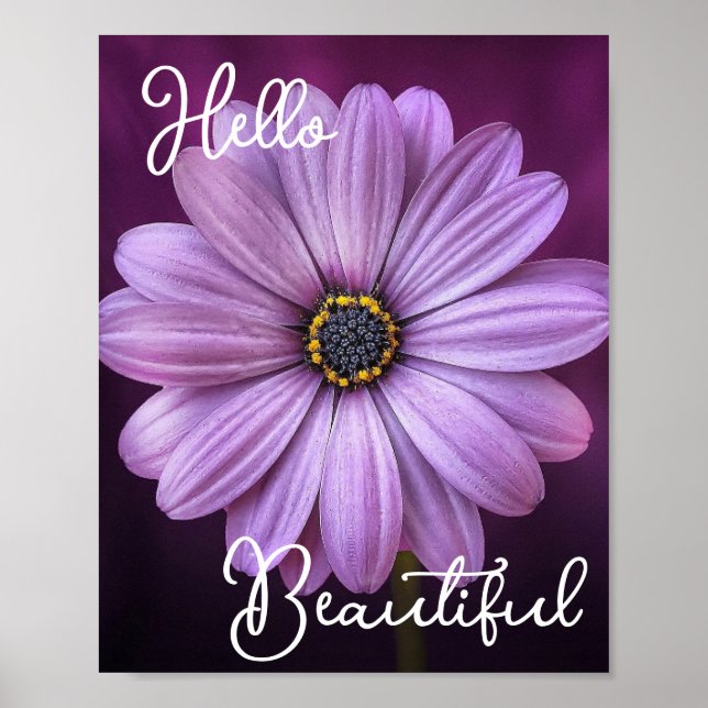 Hello Beautiful Purple Flower Poster (Front)