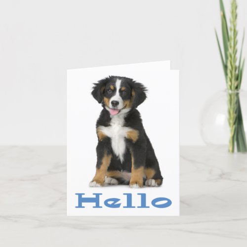 Hello Bernese Mountain Dog Puppy Dog Note Card