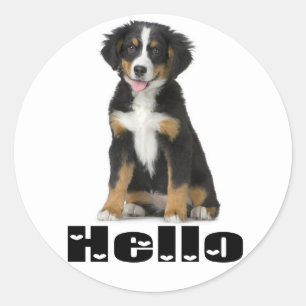 Hello Bernese Mountain Puppy Dog Berner Love Classic Round Sticker