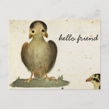 Hello Bird Friend Postcard by Rockethousebirdship at Zazzle