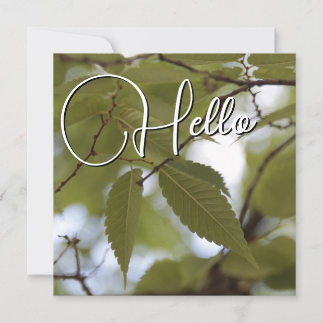 Hello birth welcome greeting green note card (Front)