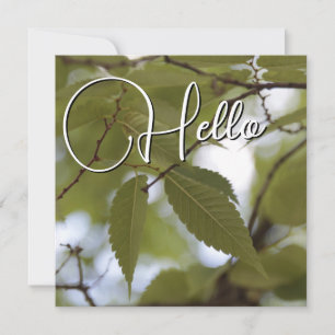 Hello birth welcome greeting green note card
