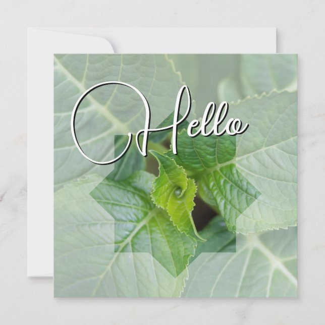 Hello birth welcome greeting green note card (Front)