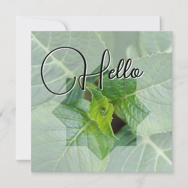 Hello birth welcome greeting green note card (Front)