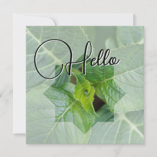 Hello birth welcome greeting green note card