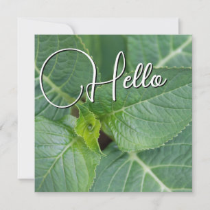 Hello birth welcome greeting green note card