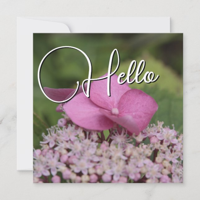 Hello birth welcome greeting rose note card (Front)