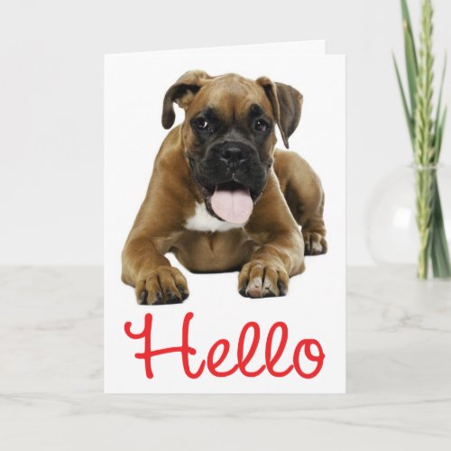Hello Boxer Puppy Dog _ Thinking of You Love Card