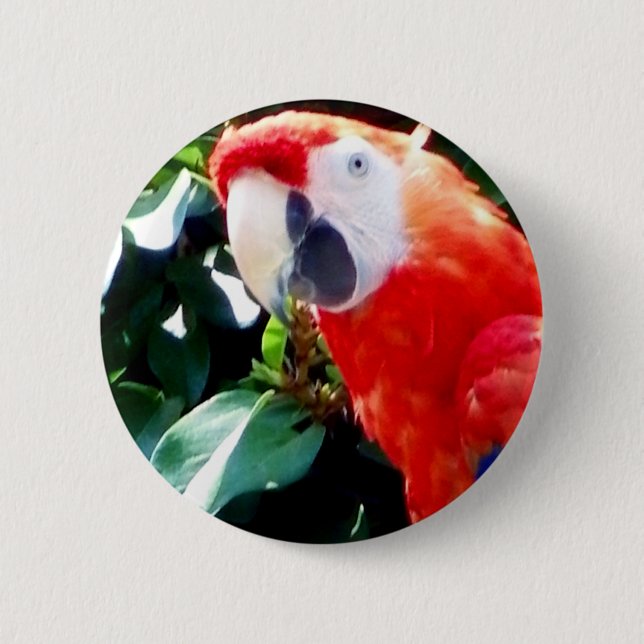Hello_ Button (Front)