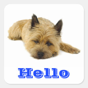 Hello Cairn Terrier Puppy Dog Greeting Stickers