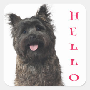 Hello Cairn Terrier Puppy Dog Stickers