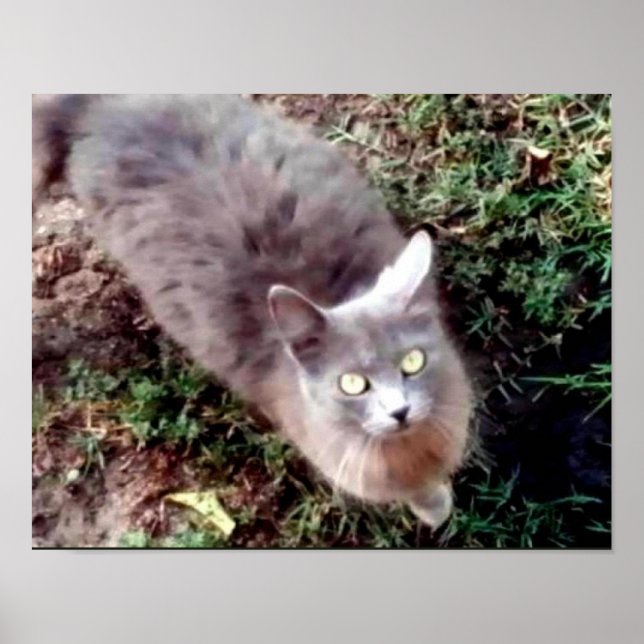 Hello Can You Hear Me Poster (Front)