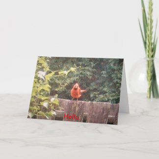 Hello Card