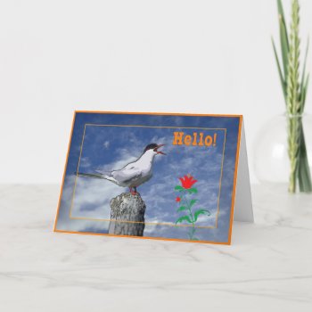 Hello Card by leksele at Zazzle
