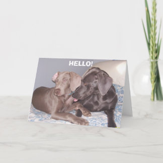 HELLO! CARD