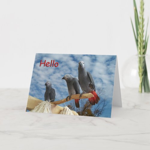 Hello Card