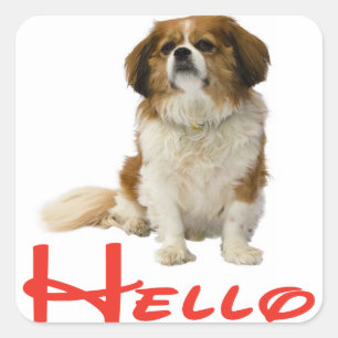 Hello Cavalier King Charles Spaniel Puppy Sticker