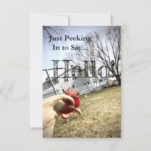 Hello Chicken Card