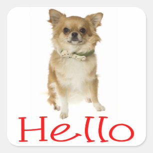 Hello Chihuahua Puppy Dog Greeting Stickers