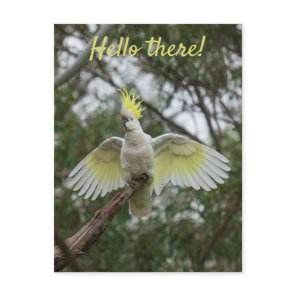 Hello! Cockatoo Parrot Bird Open Wings Personalise Postcard