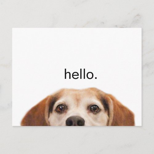 Hello Cute Funny Beagle Dog Modern Trendy Blank Postcard