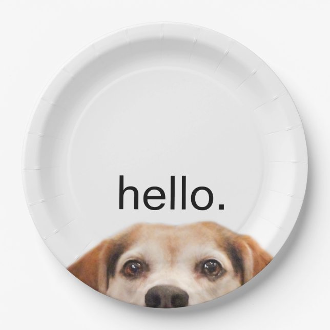 Hello Cute Funny Beagle Dog Modern Trendy Paper Plates (Front)