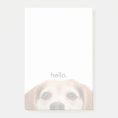 Hello Cute Funny Beagle Dog Modern Trendy Post_it Notes