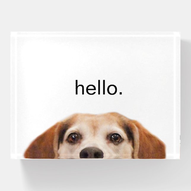Hello Cute Funny Beagle Dog Modern Trendy Square S Paperweight (Front)