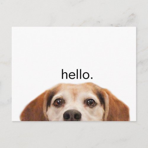 Hello Cute Funny Beagle Dog Nose Postcard