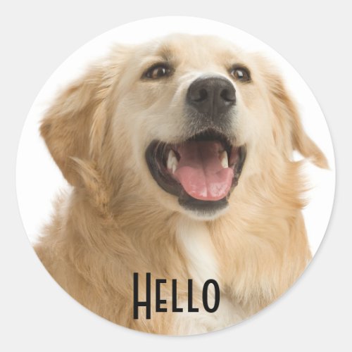 Hello Cute Golden Retriever Puppy Dog Stickers