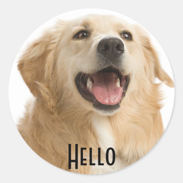 Hello Cute Golden Retriever Puppy Dog Stickers (Front)