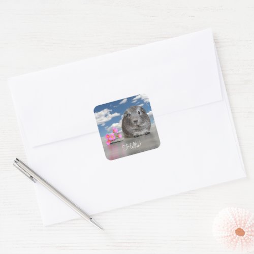 Hello Cute Gray Guinea Pig Pink Flowers Custom Square Sticker