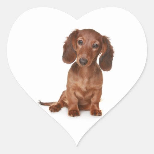 Hello Dachshund Puppy Dog Sticker  Label