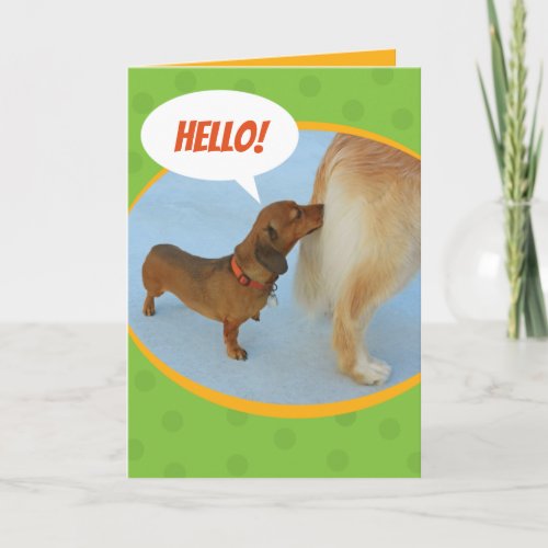 Hello _ Dachshund Sniffing Golden Retriever Butt Card