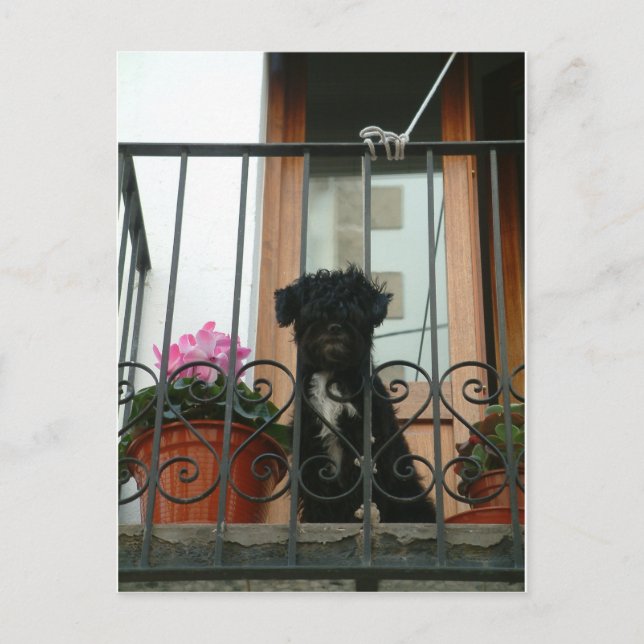 Hello down there postcard (Front)