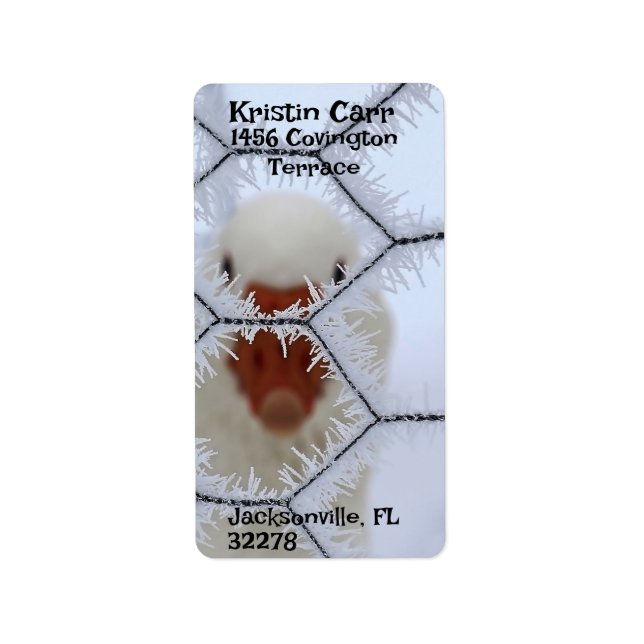 Hello! Duck behind frosted fence Return Address  Label (Front)