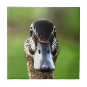 Hello Ducky Quirky Duck Portrait Ceramic Tile