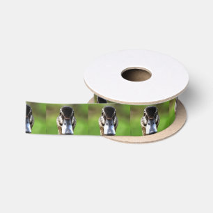 Hello Ducky Quirky Duck Portrait Satin Ribbon