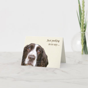 Hello English Springer Spaniel Card