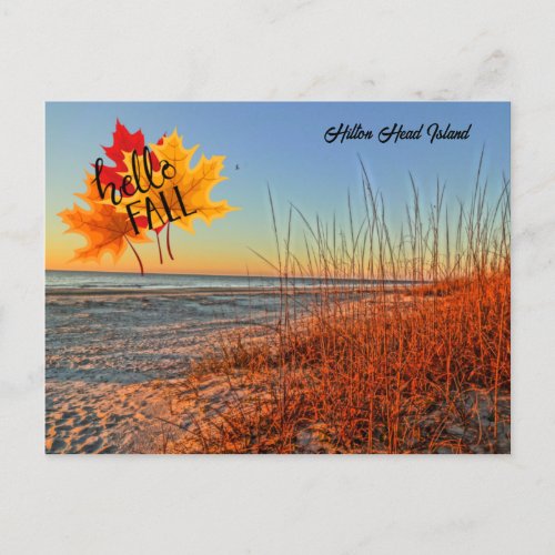 Hello Fall Hilton Head Island Beach South Carolina Postcard