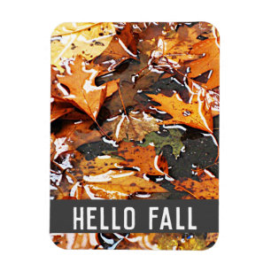 Hello Fall Rainy Leaves   Magnet