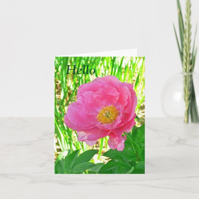 "HELLO"  FLORAL/PINK PEONY/NOTECARD /BLANK INSIDE CARD (Front)