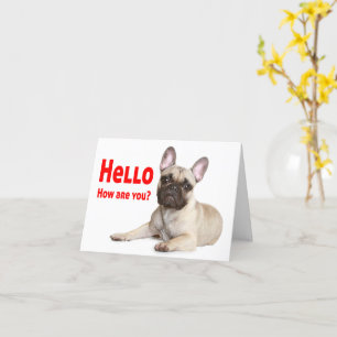 Hello French Bulldog Dog Thinking of You Love Card