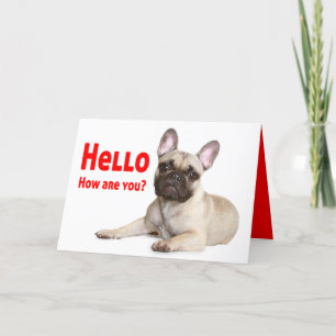 Hello French Bulldog Dog Thinking of You Love Card