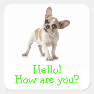 Hello French Bulldog Puppy Dog Greeting Sticker