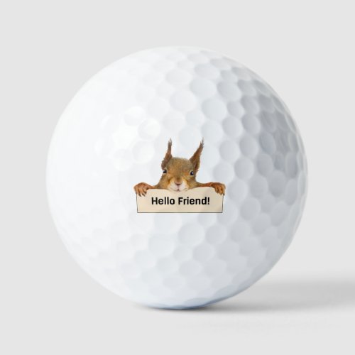 Hello Friend Funny Squirrel   Golf Balls