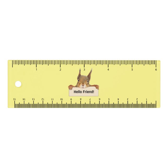 Hello Friend Funny Squirrel   Ruler (Front)